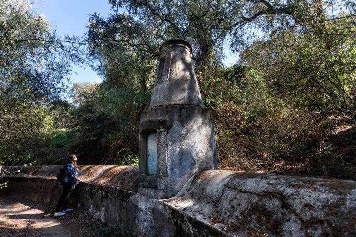 Monte Do Serrado De Baixo - T4 Евора Екстериор снимка